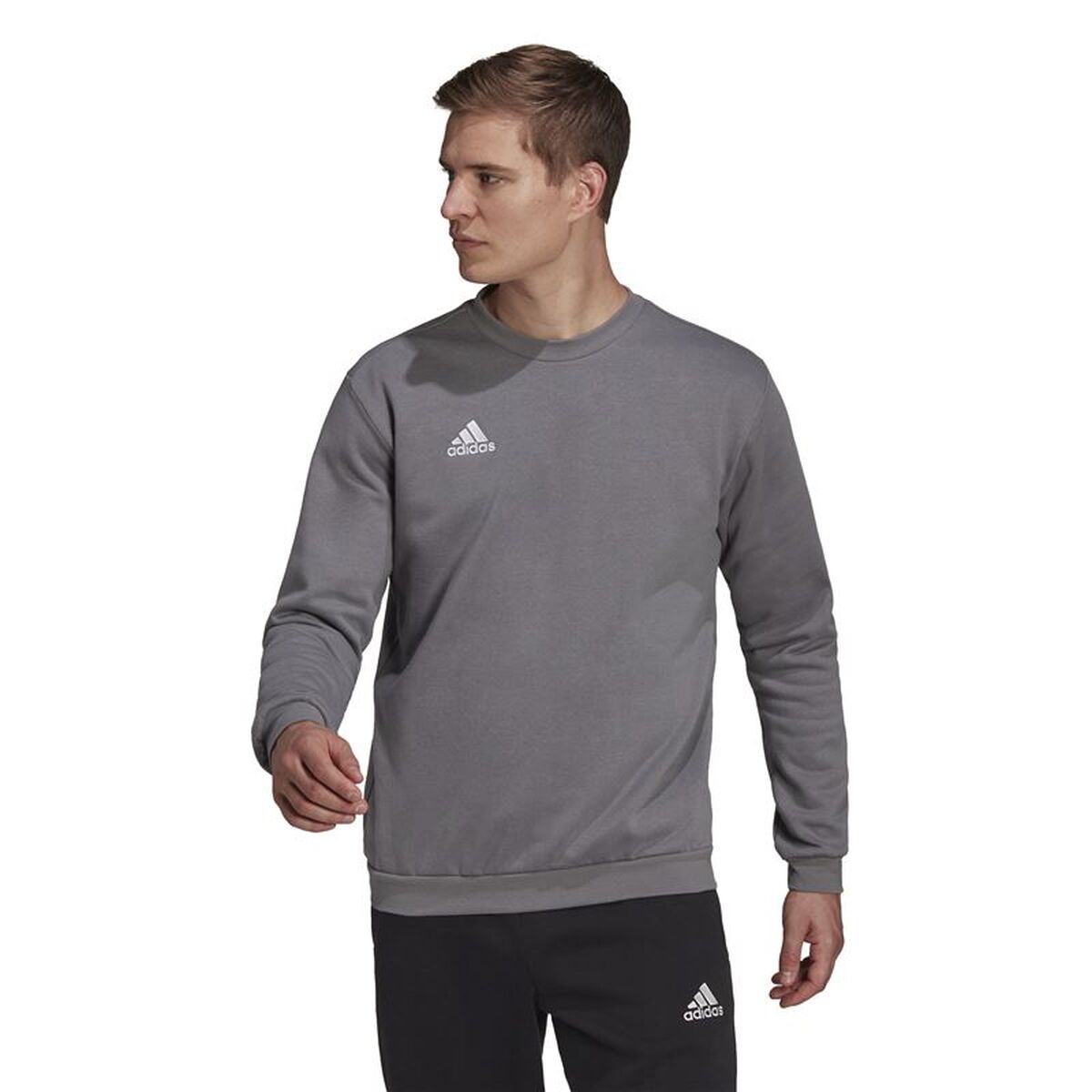 Ανδρικό Φούτερ χωρίς Κουκούλα Adidas Ent22 Σκούρο γκρίζο
