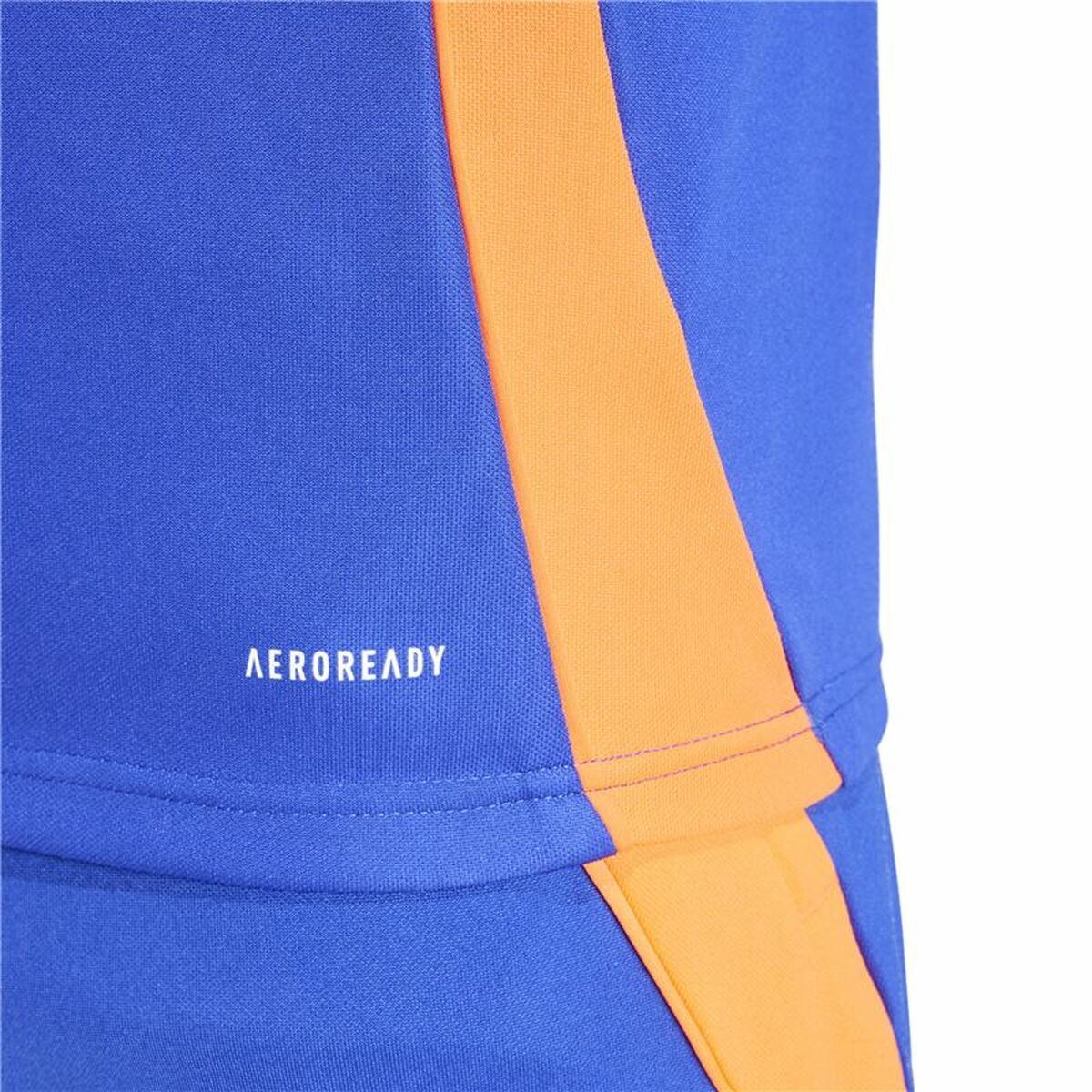 Φούτερ χωρίς Κουκούλα Adidas Tiro24 Training Μπλε