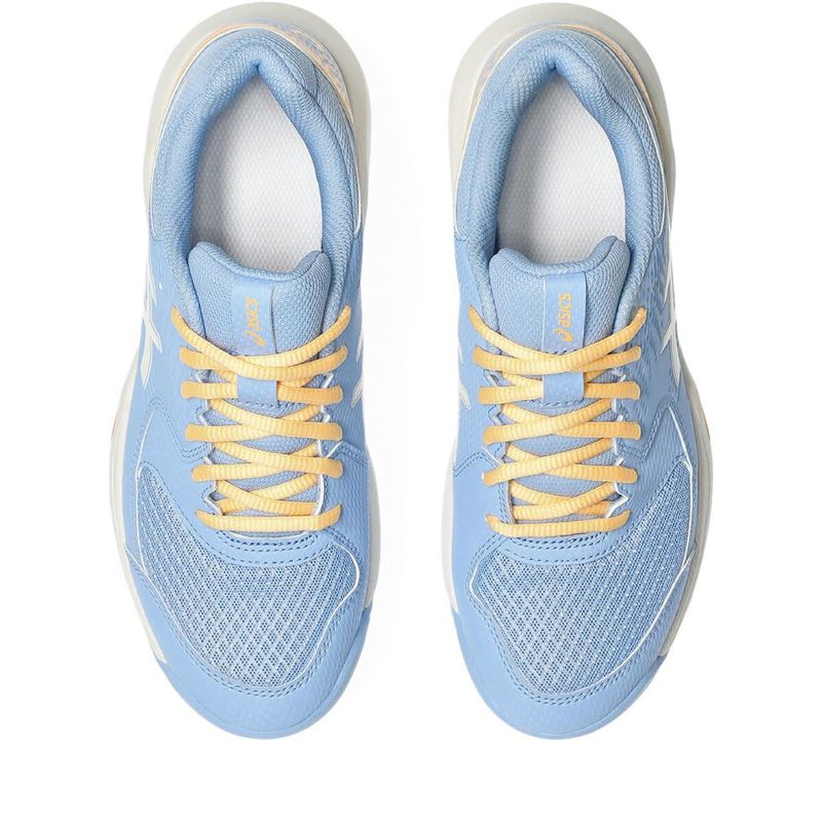 Παπούτσια Paddle για Ενήλικες Asics Gel-Dedicate 8 Ανοιχτό Μπλε