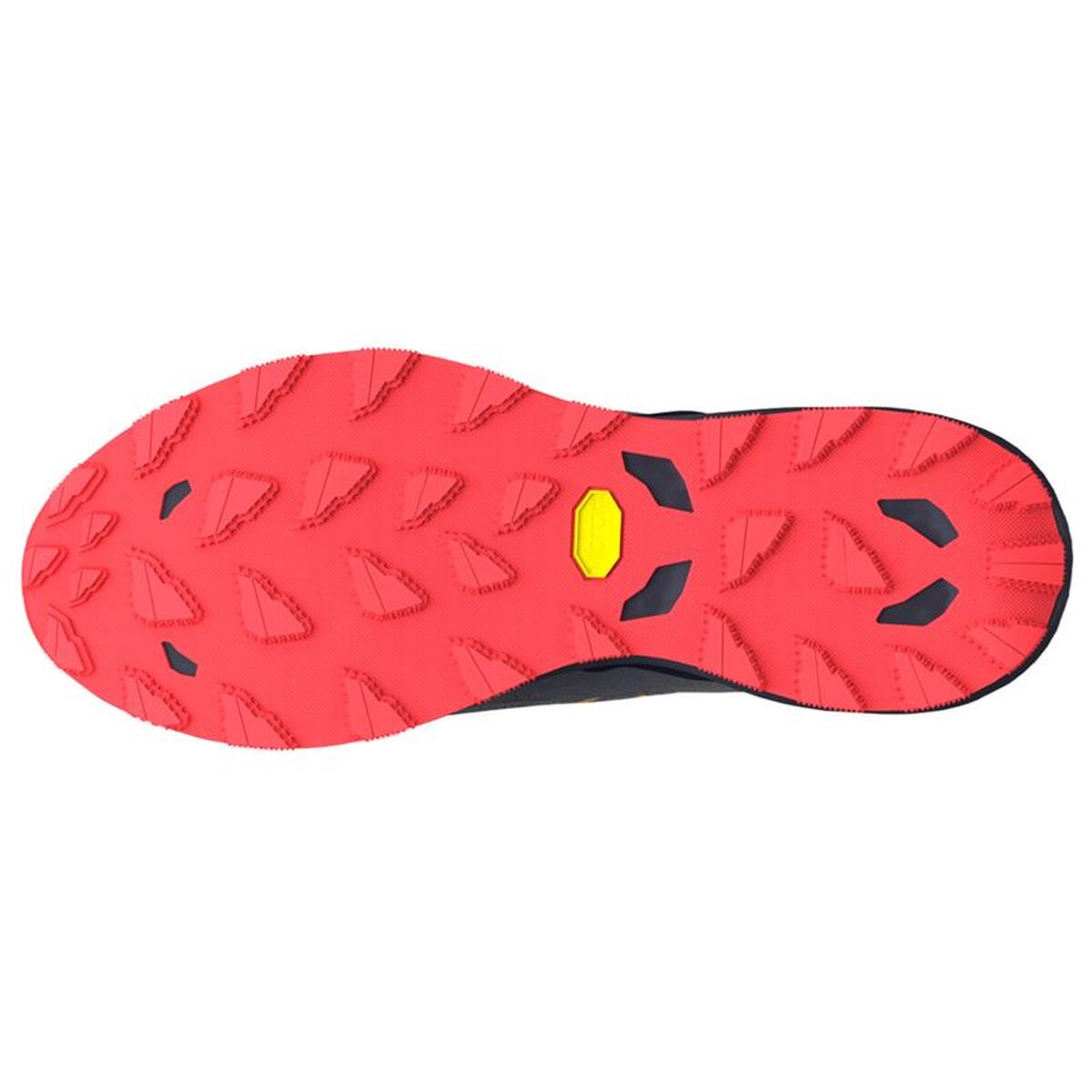 Παπούτσια trail για άνδρες (τρέξιμο στο βουνό) Mizuno Wave Daichi 9 Σκούρο γκρίζο