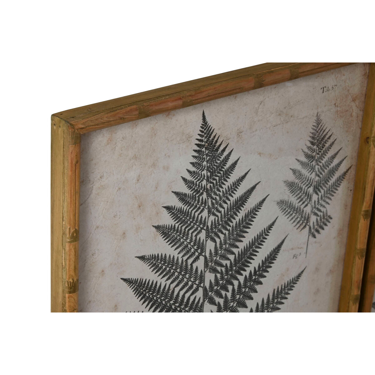 Πίνακας Home ESPRIT Κρυστάλλινο Έλατο 50 x 3 x 70 cm 50 x 2,5 x 70 cm