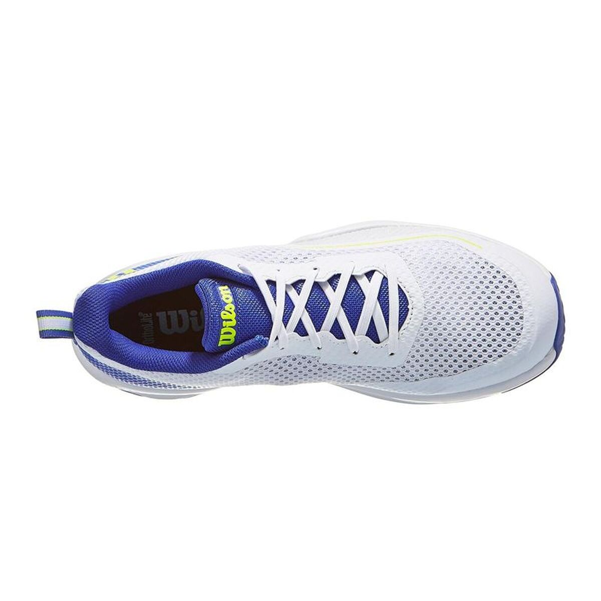 Ανδρικά Παπούτσια Τένις Wilson Rush Pro Lite Μπλε Λευκό