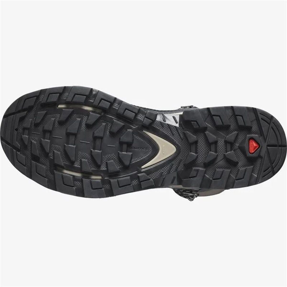 Μπότες Βουνού Salomon Quest Element Gore-Tex Γκρι