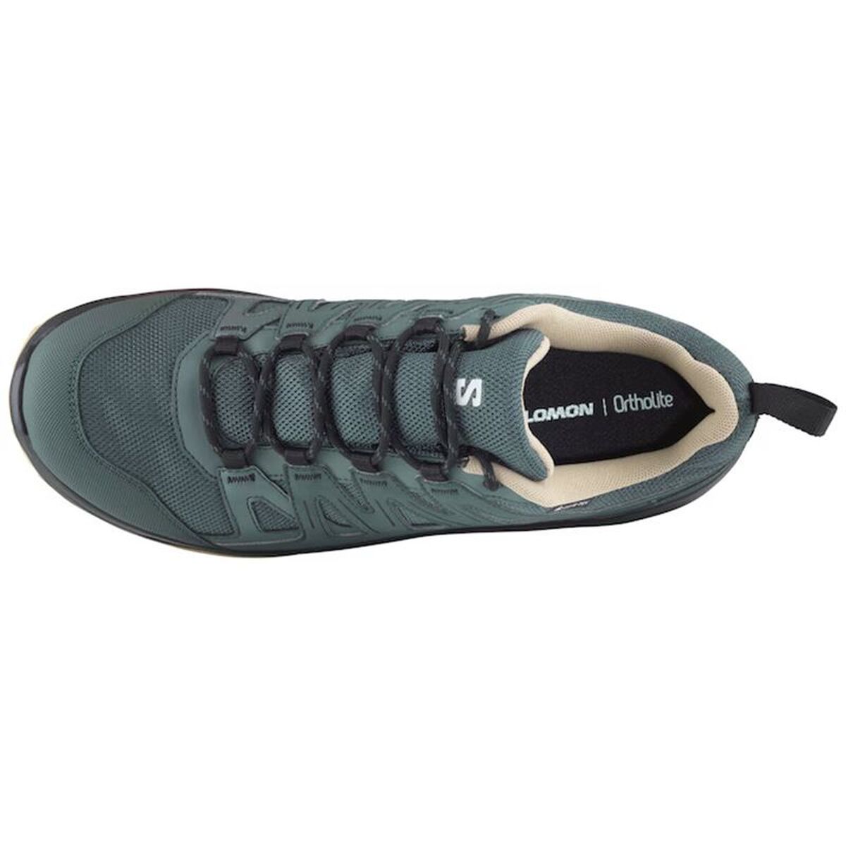 Ανδρικά Παπούτσια για Περπάτημα Salomon Storen GTX Τυρκουάζ