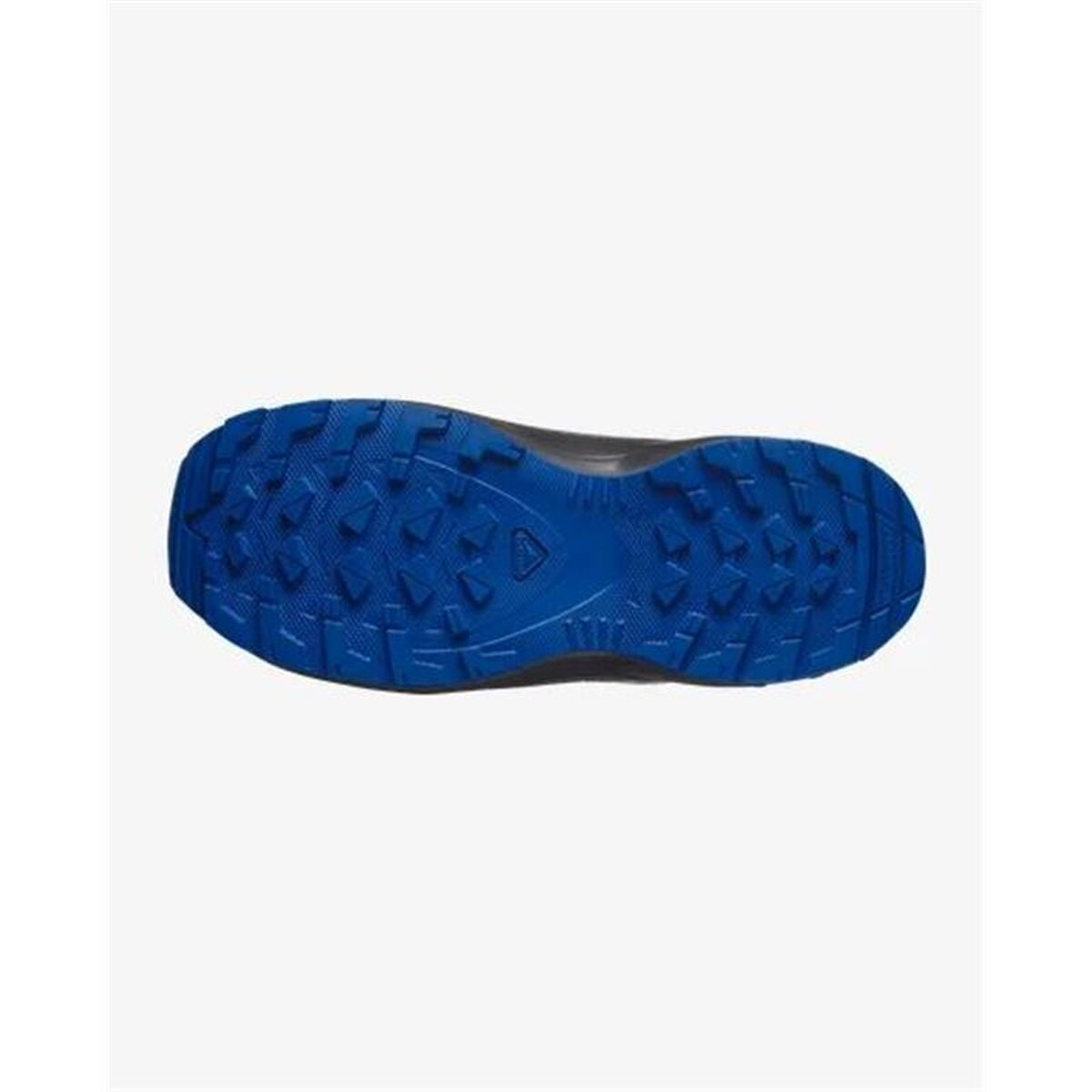 Παπούτσια trail για άνδρες (τρέξιμο στο βουνό) Salomon Xa Pro V8 Μπλε