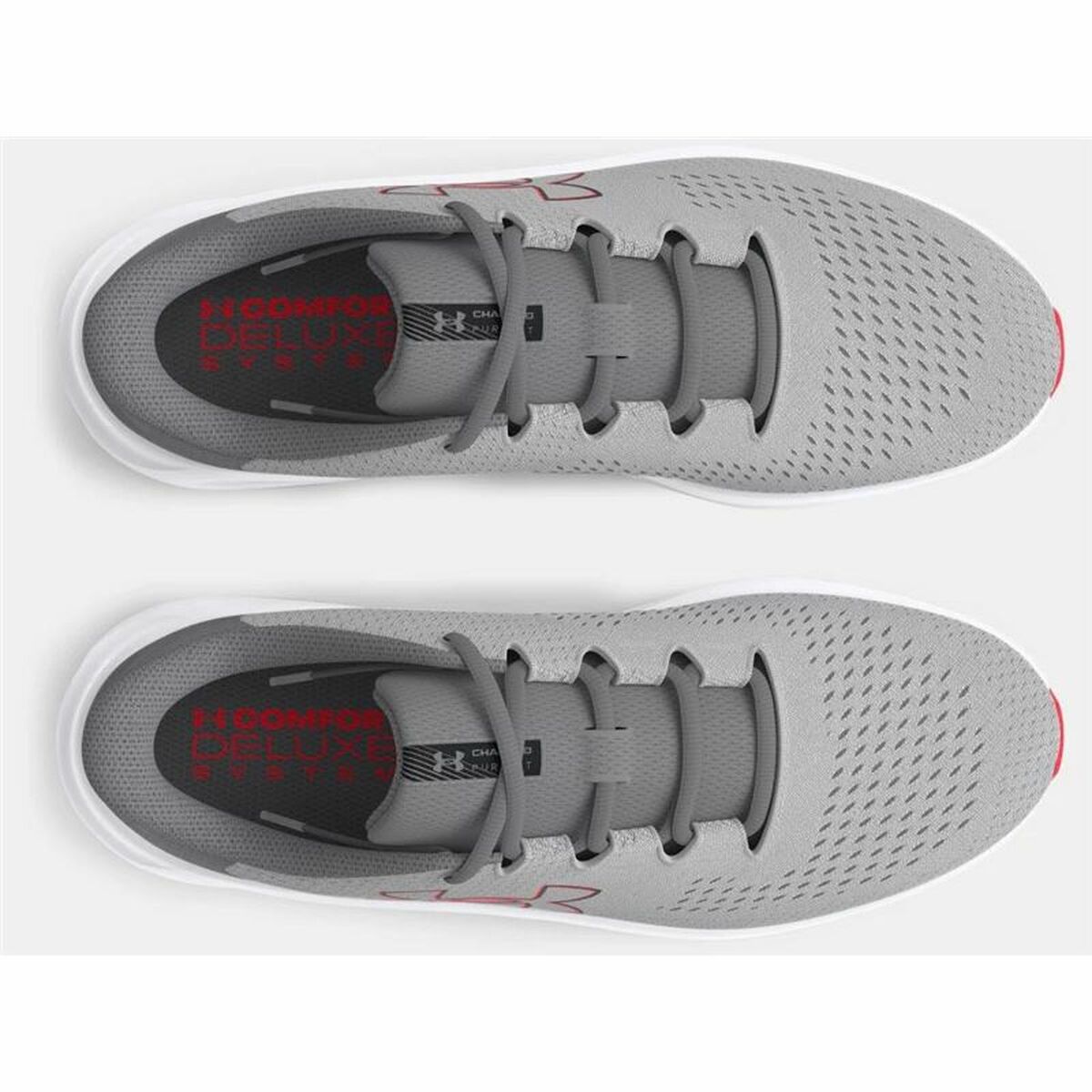 Παπουτσιά για Τρέξιμο για Ενήλικες Under Armour Charged Γκρι
