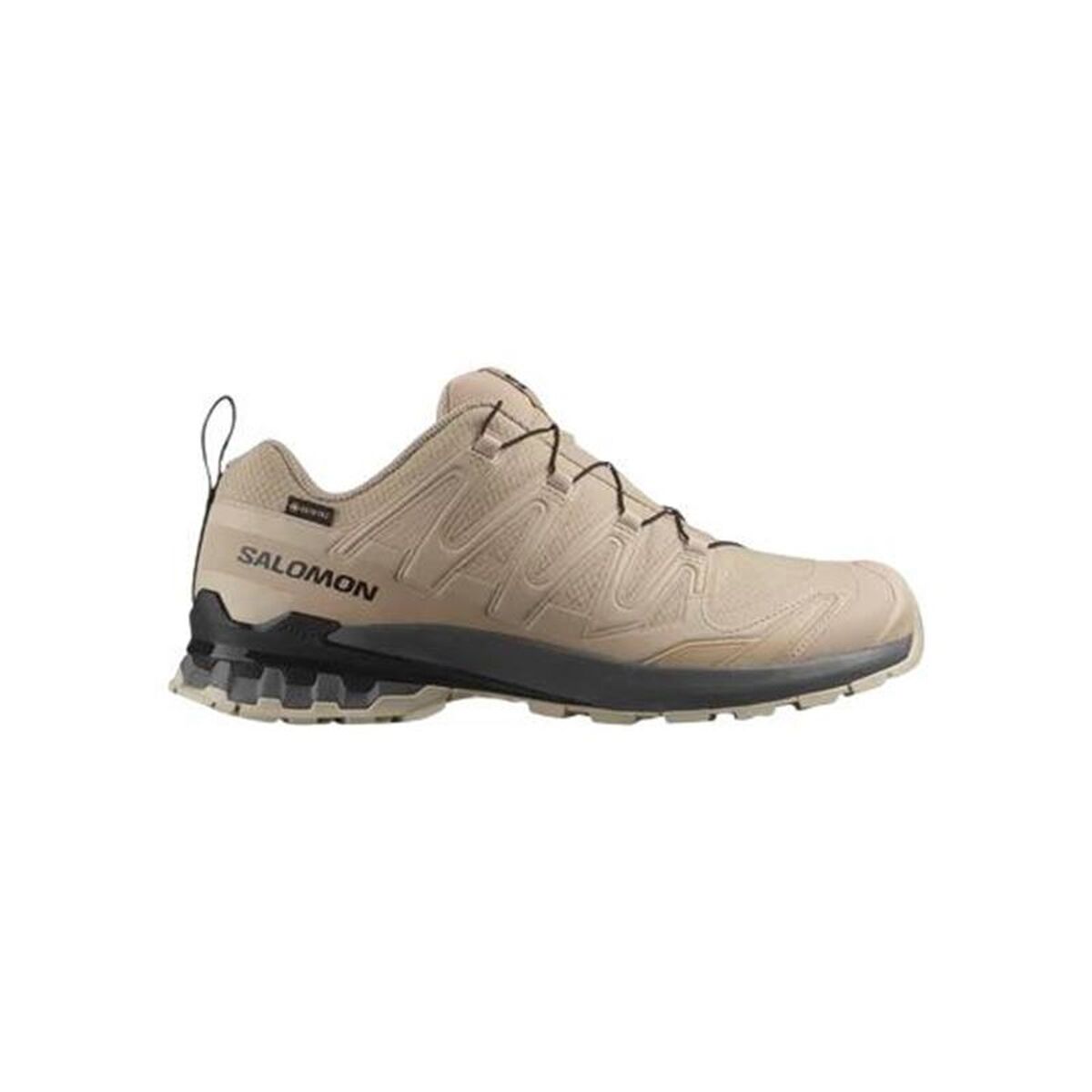 Παπούτσια trail για άνδρες (τρέξιμο στο βουνό) Salomon Xa Pro 3D V9 Gtx Καφέ