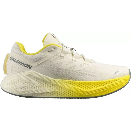 Παπούτσια για Tρέξιμο για Ενήλικες Salomon Aero Glide 3 Κίτρινο