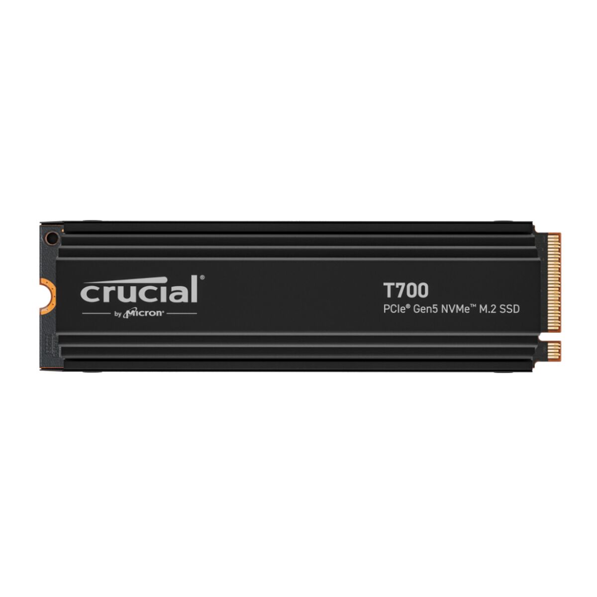 Σκληρός δίσκος Crucial 1 TB SSD