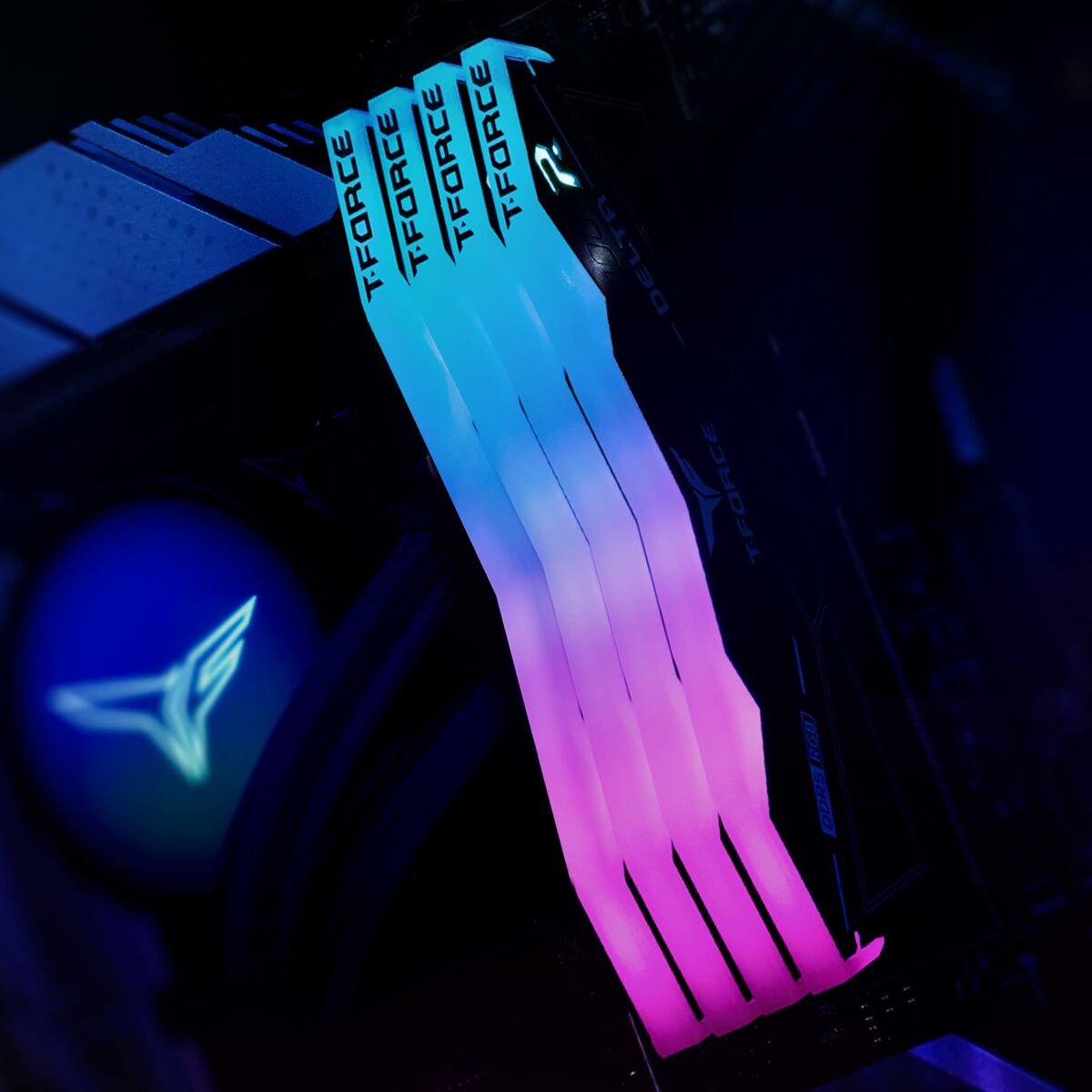 Μνήμη RAM Team Group FF3D532G7200HC34ADC01 32 GB DDR5