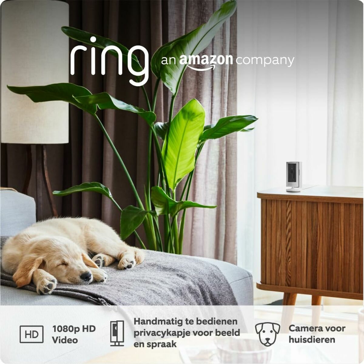 Κάμερα Επιτήρησης Ring Automotive B0B6GKHS2S