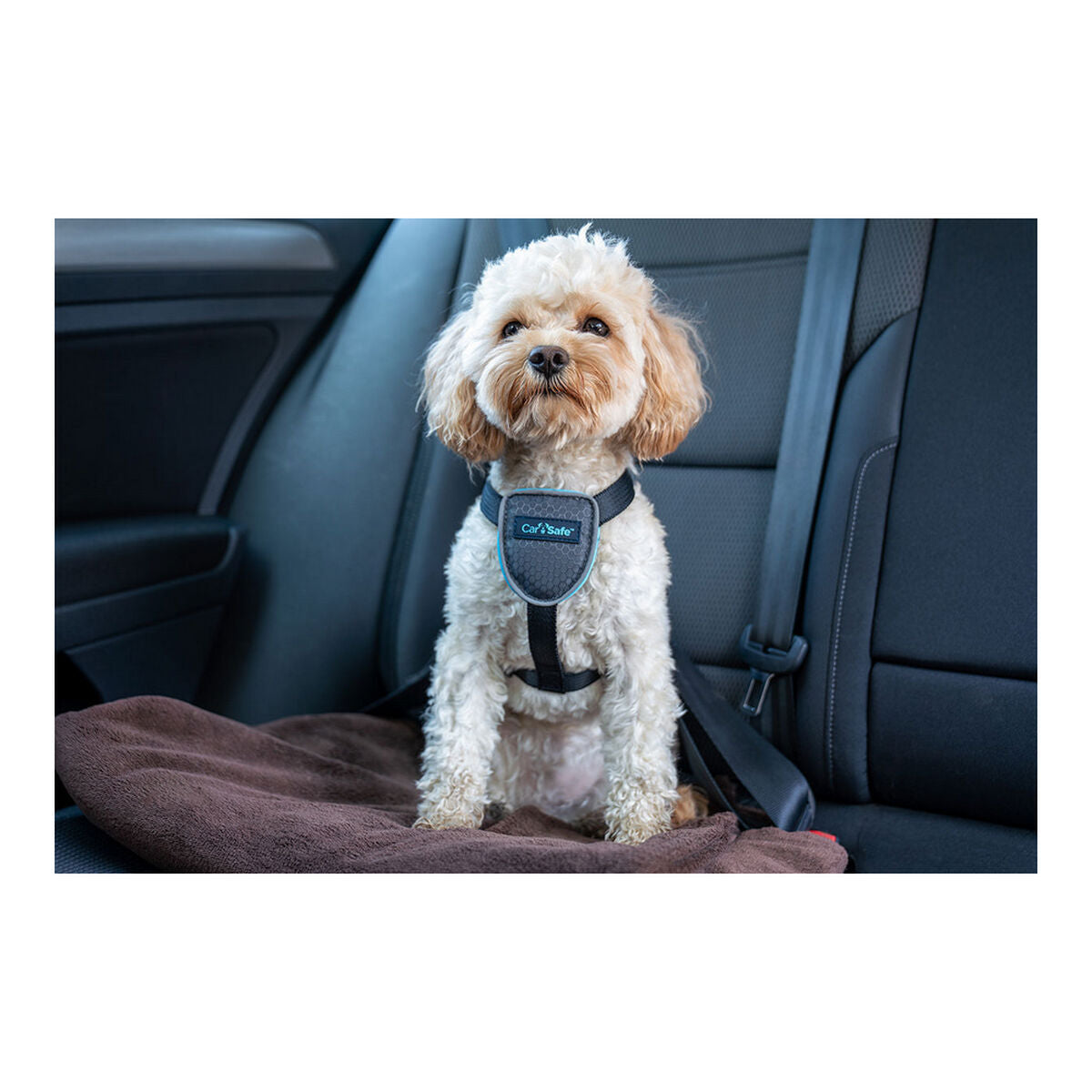 Λουρί Σκύλου Company of Animals CarSafe Μαύρο L