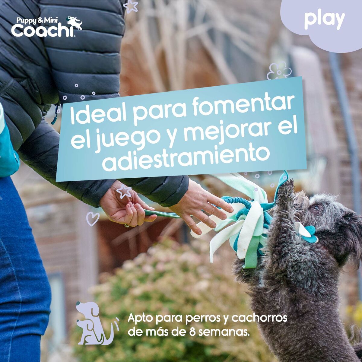 Παιχνίδια για Σκύλους Coachi PUPPY & MINI TUGGI SPIDER Πράσινο