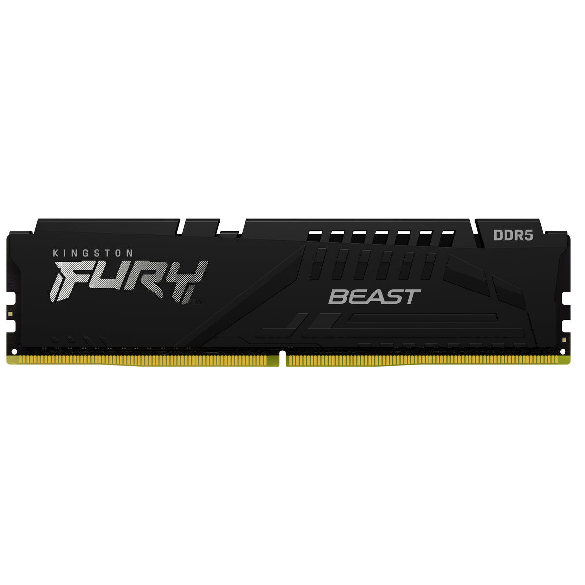 Μνήμη RAM Kingston KF552C40BB2K2-64 64 GB
