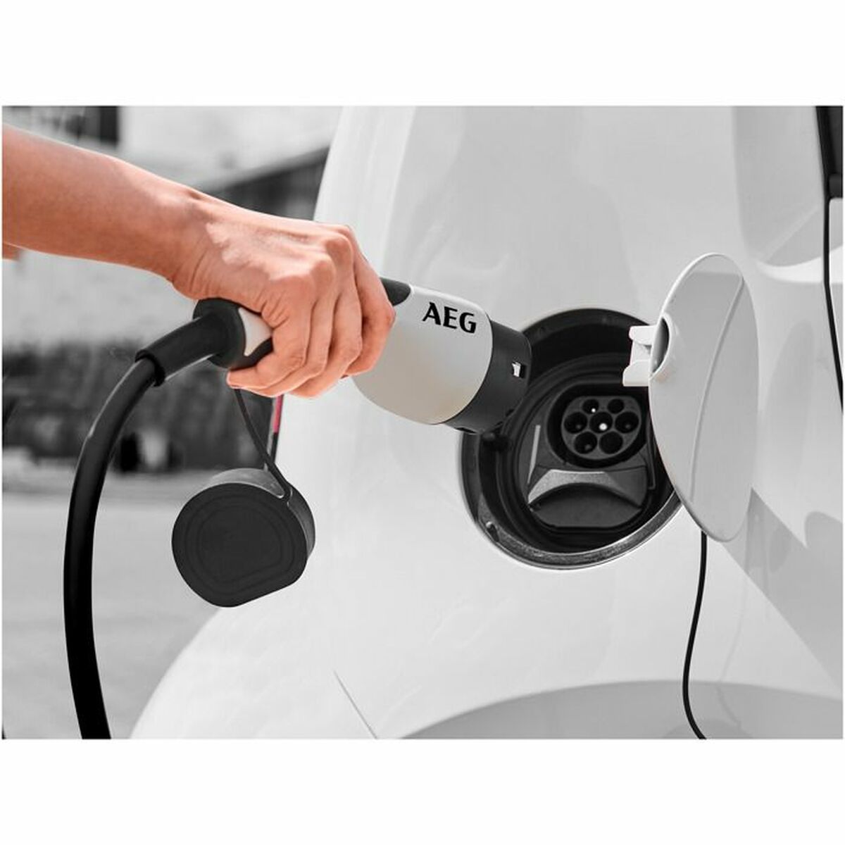 Φορτιστής μπαταρίας AEG 201869