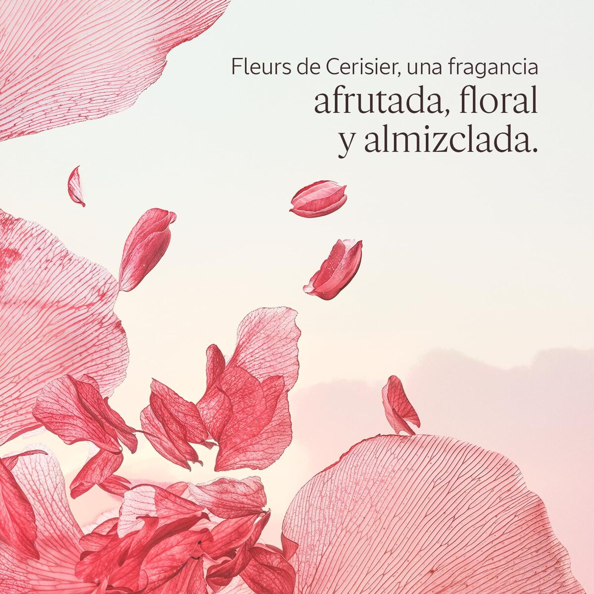 Αφρόλουτρο L'Occitane En Provence FLEURS DE CERISIER