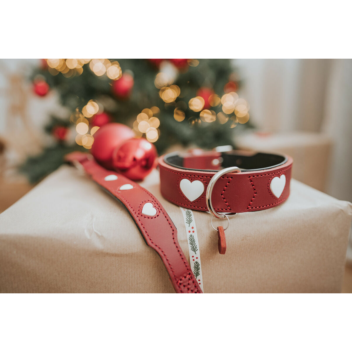 Κολλάρο Σκύλου Hunter Love Κόκκινο XS 24-28 cm