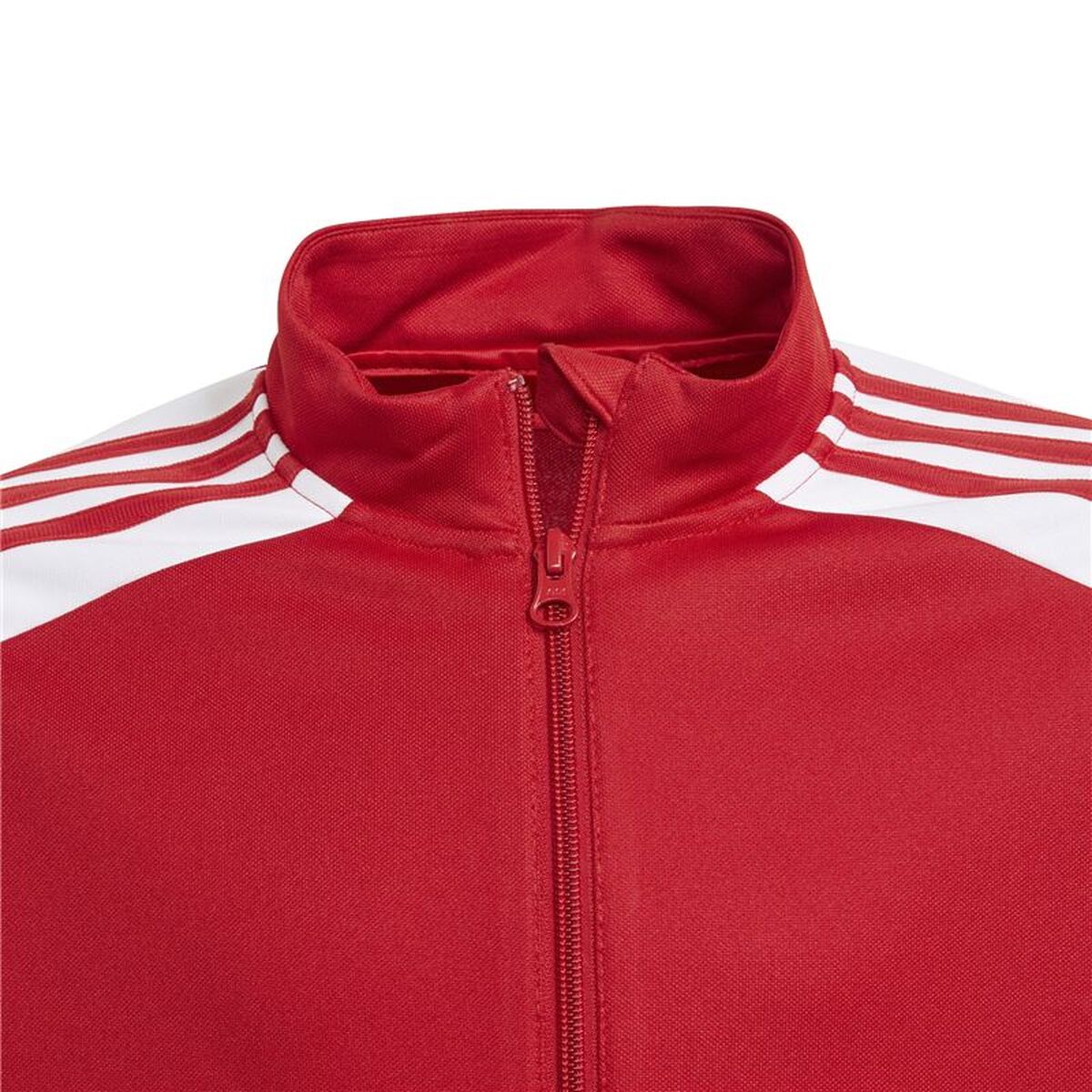 Παιδικό Αθλητικό Μπουφάν Adidas Sq21 Tr Y Κόκκινο