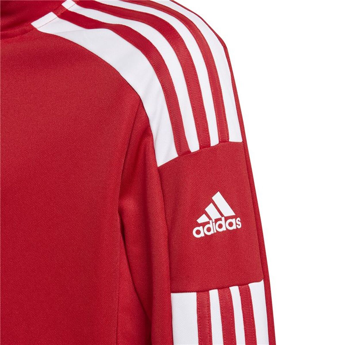Παιδικό Αθλητικό Μπουφάν Adidas Sq21 Tr Y Κόκκινο