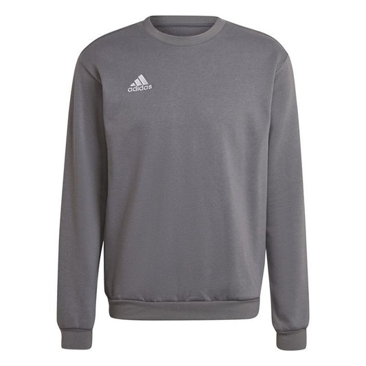 Ανδρικό Φούτερ χωρίς Κουκούλα Adidas Ent22 Σκούρο γκρίζο