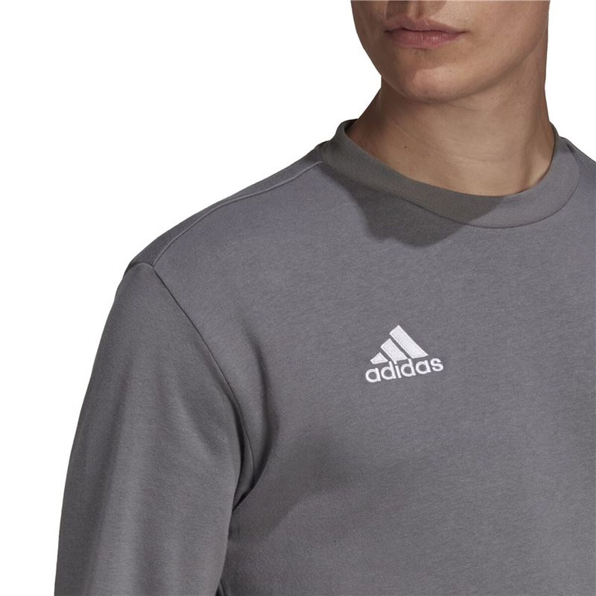 Ανδρικό Φούτερ χωρίς Κουκούλα Adidas Ent22 Σκούρο γκρίζο