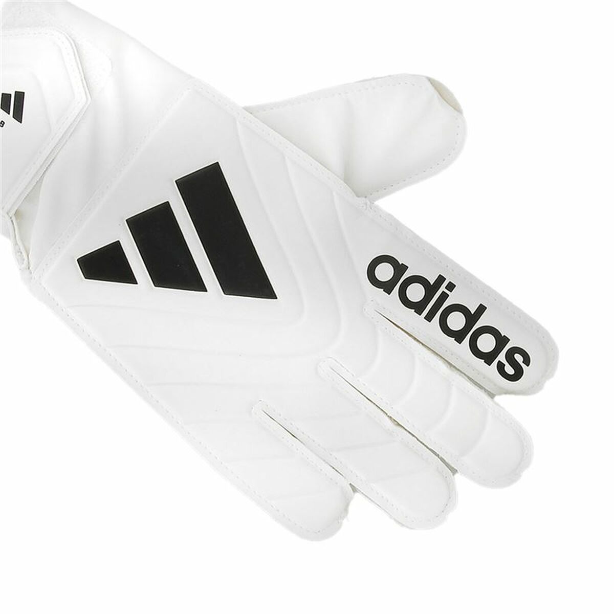 Γάντια Τερματοφύλακα Adidas Copa Clb Λευκό Ενήλικες