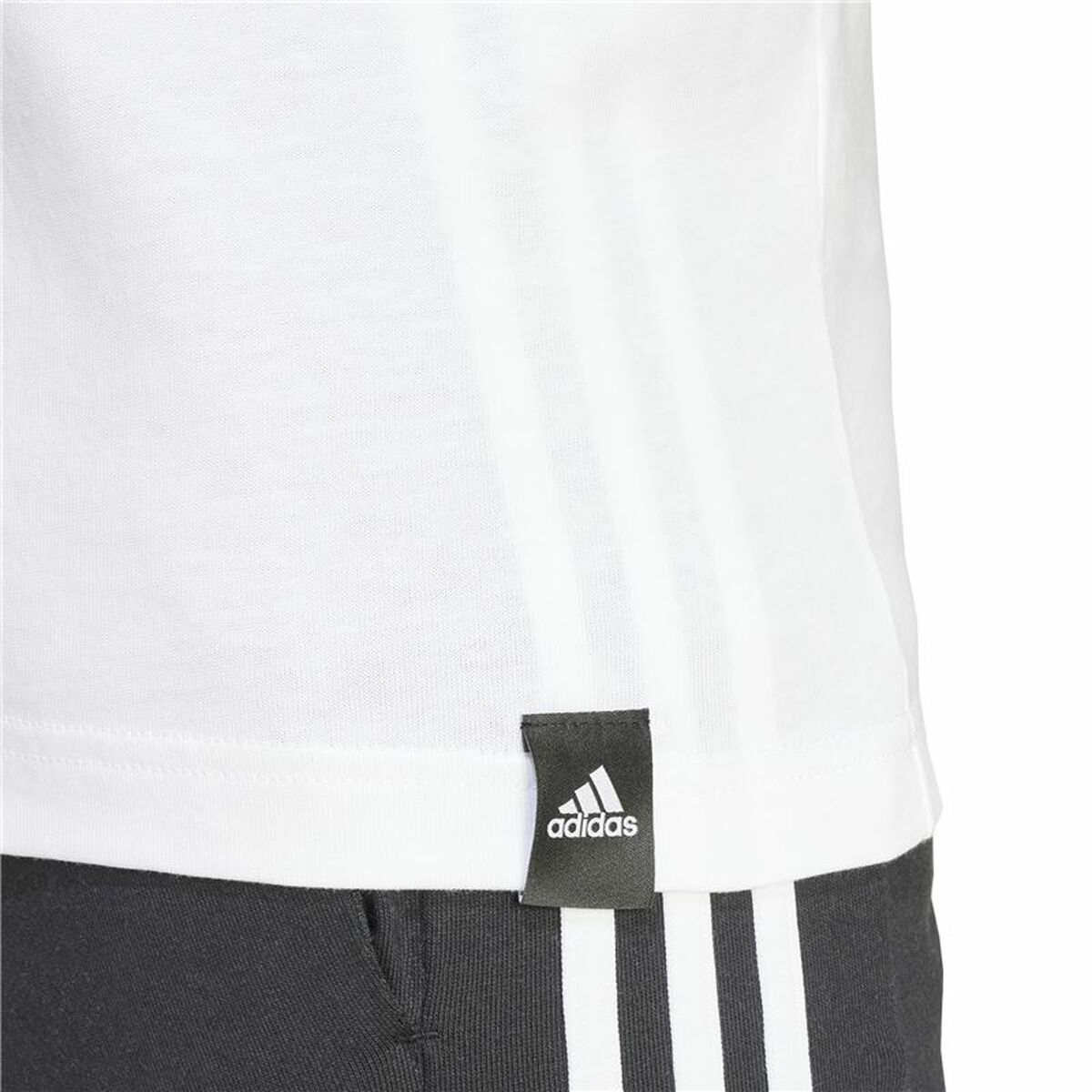 Ανδρική Μπλούζα με Κοντό Μανίκι Adidas Codes Bos Graphic Λευκό