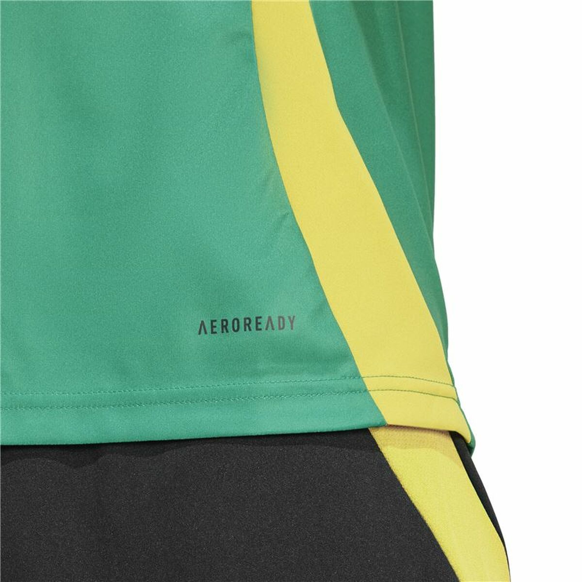 Ποδοσφαιρική Φανέλα Adidas Jamaica 2024 Pre Match Πράσινο