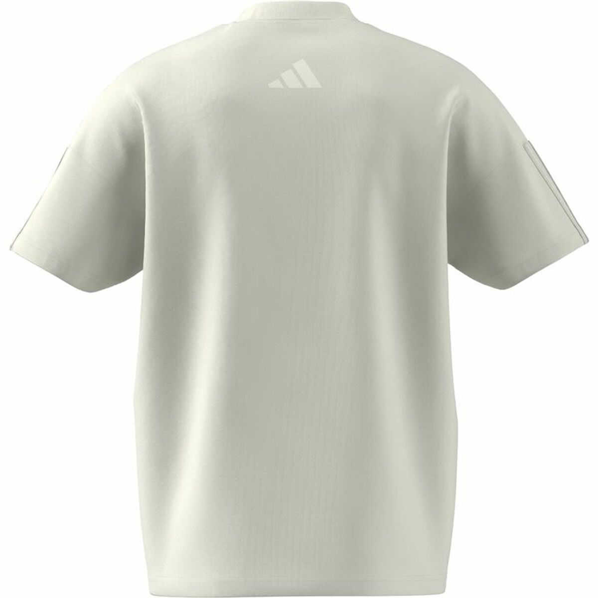Ανδρική Μπλούζα με Κοντό Μανίκι Adidas All Szn Graphic Seasonal Λευκό