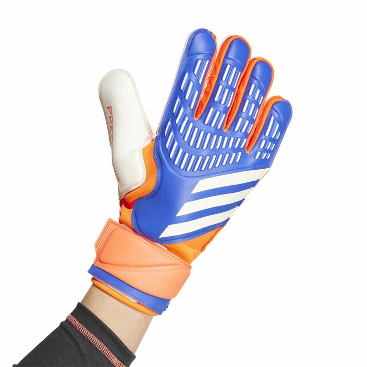 Γάντια Τερματοφύλακα Adidas Predator Match Πολύχρωμο Ενήλικες