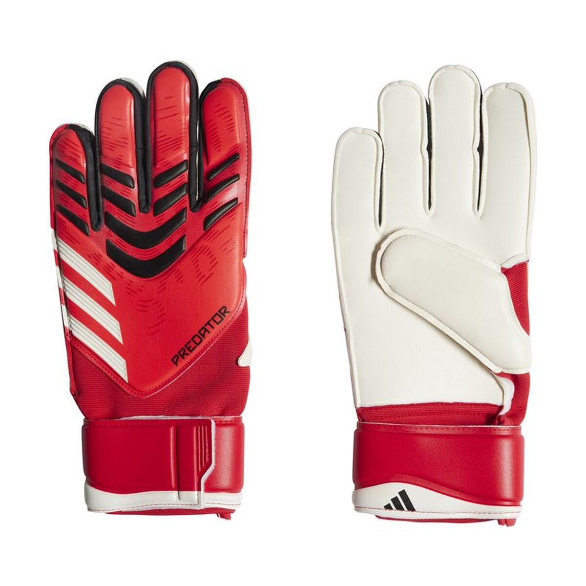 Γάντια Τερματοφύλακα Adidas Predator Κόκκινο Ενήλικες