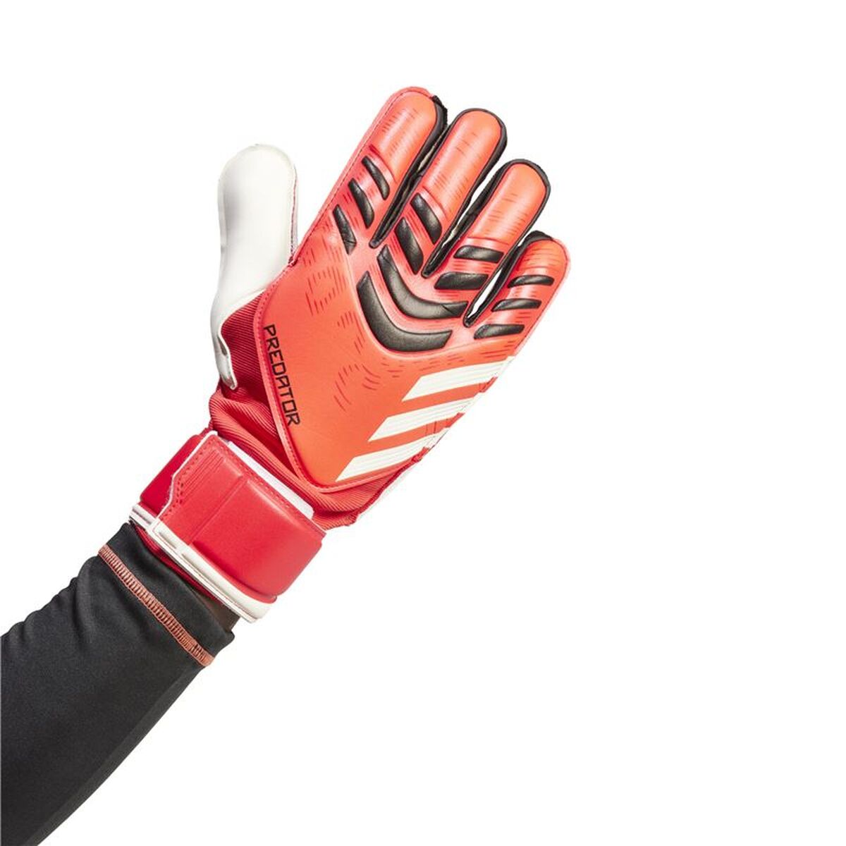 Γάντια Τερματοφύλακα Adidas Predator Κόκκινο Ενήλικες