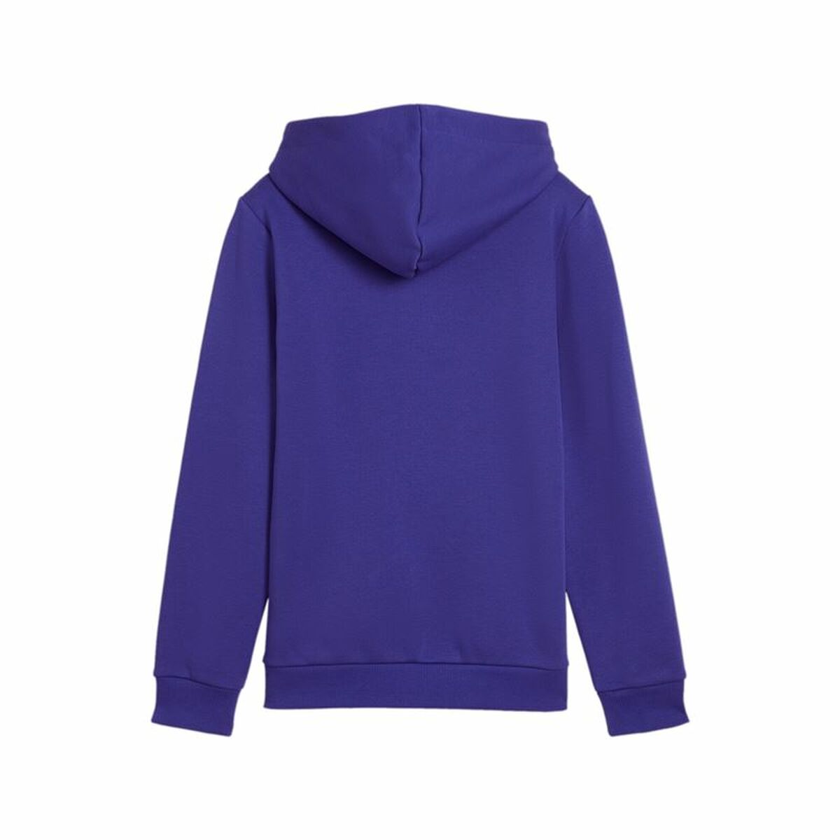 Παιδικό Φούτερ με Κουκούλα Puma Essentials+ 2 Col Big Logo Μπλε