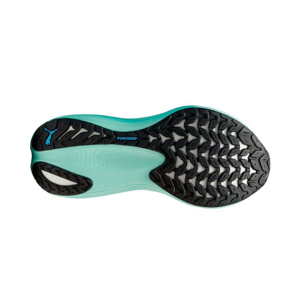 Παπούτσια για Τρέξιμο για Ενήλικες Puma Magmax Nitro Speed ​​Μπλε