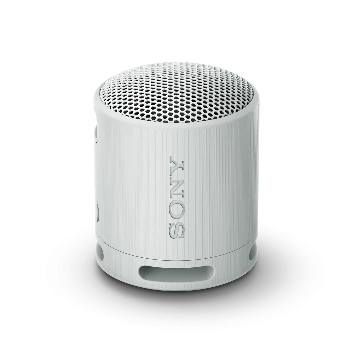 Φορητό Ηχείο BLuetooth Sony SRSXB100H.CE7 Γκρι