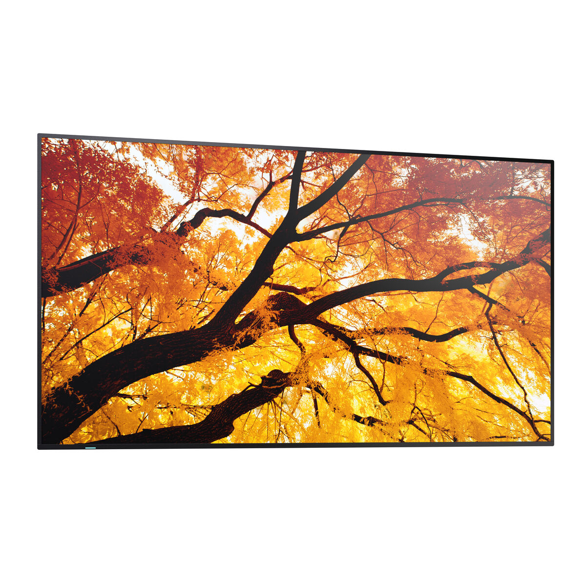 Οθόνη Videowall Sharp 60006053 4K Ultra HD 42,5"