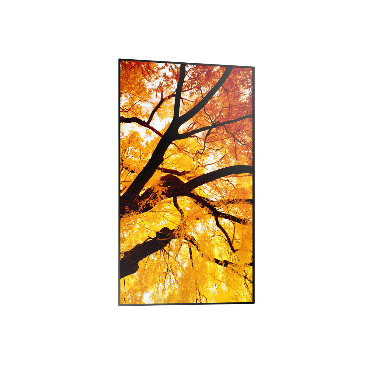 Οθόνη Videowall Sharp 60006053 4K Ultra HD 42,5"