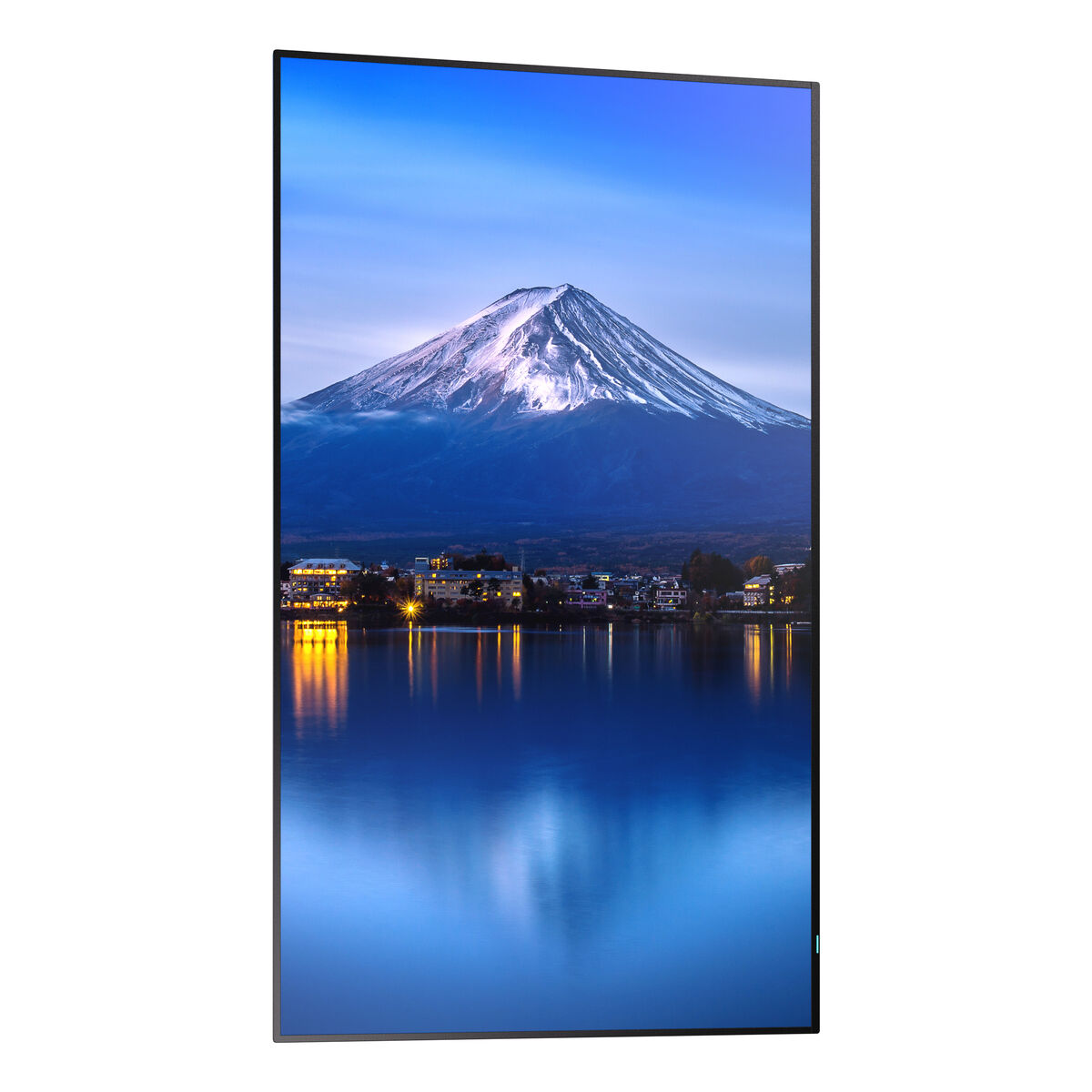Οθόνη Videowall Sharp 60005911 4K Ultra HD 42,5"