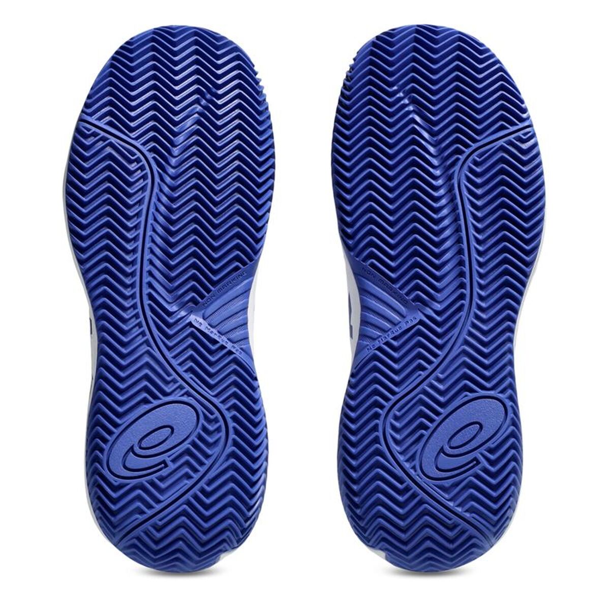 Ανδρικά Παπούτσια Τένις Asics Gel-Resolution X Gs Clay Λευκό