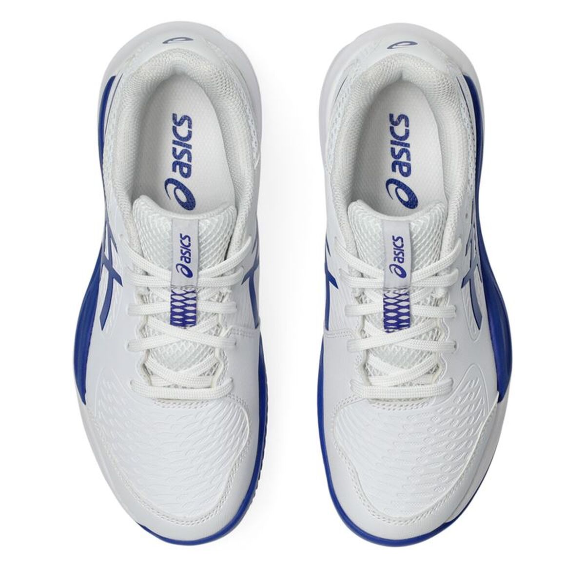 Ανδρικά Παπούτσια Τένις Asics Gel-Resolution X Gs Clay Λευκό