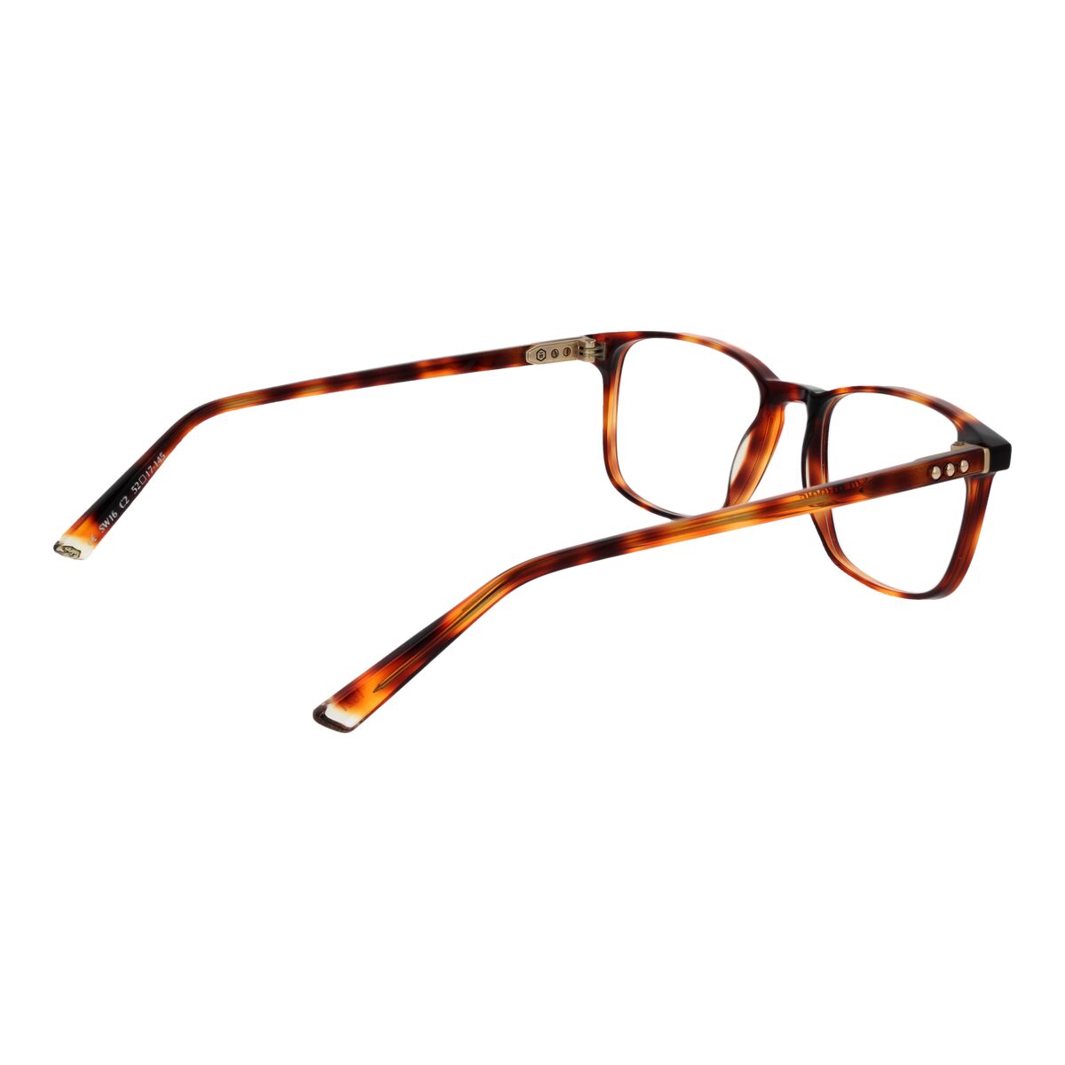 Unisex Σκελετός γυαλιών Taylor Morris SW16 52C2