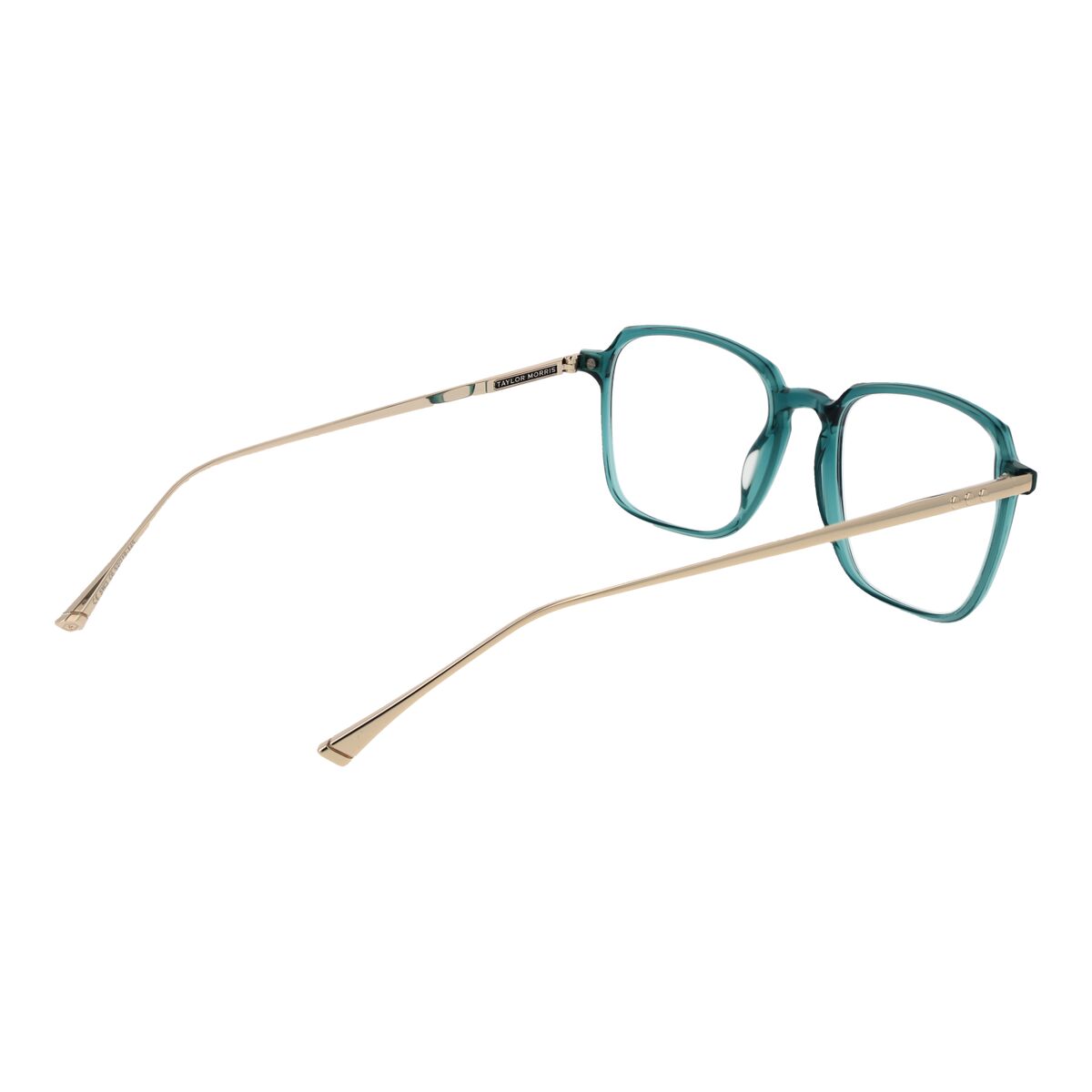Unisex Σκελετός γυαλιών Taylor Morris SW3 53C6