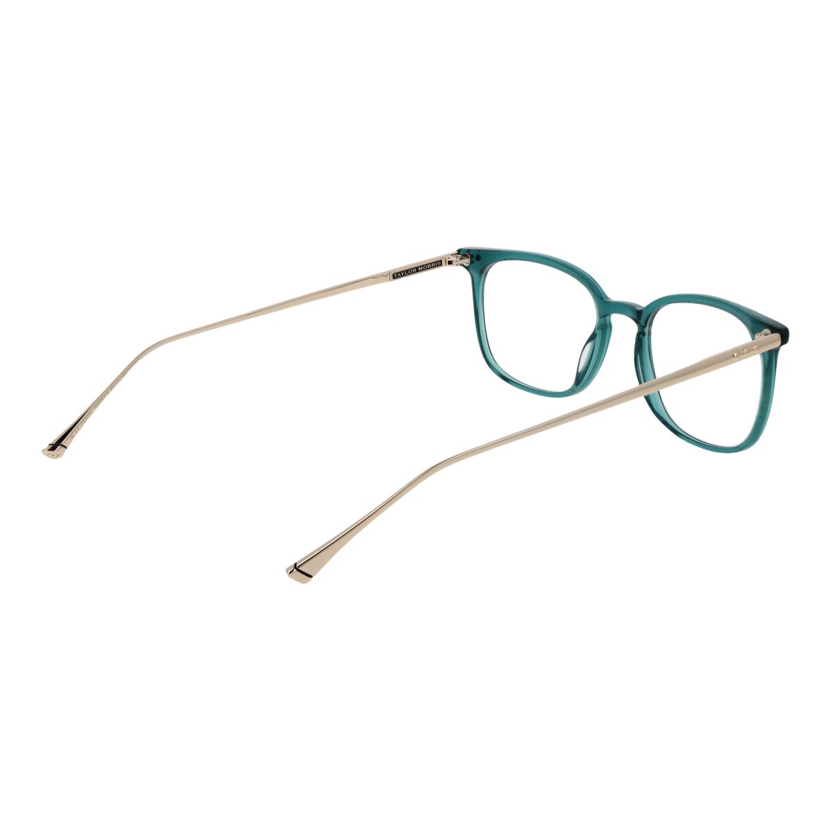 Unisex Σκελετός γυαλιών Taylor Morris TM06 49C4