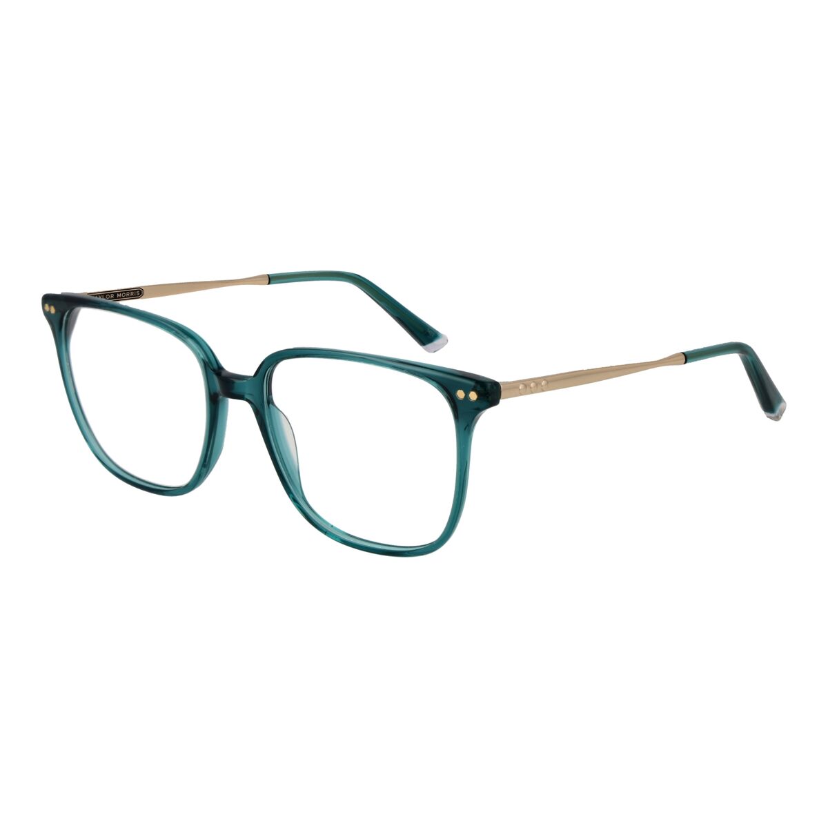 Unisex Σκελετός γυαλιών Taylor Morris TM08 53C4