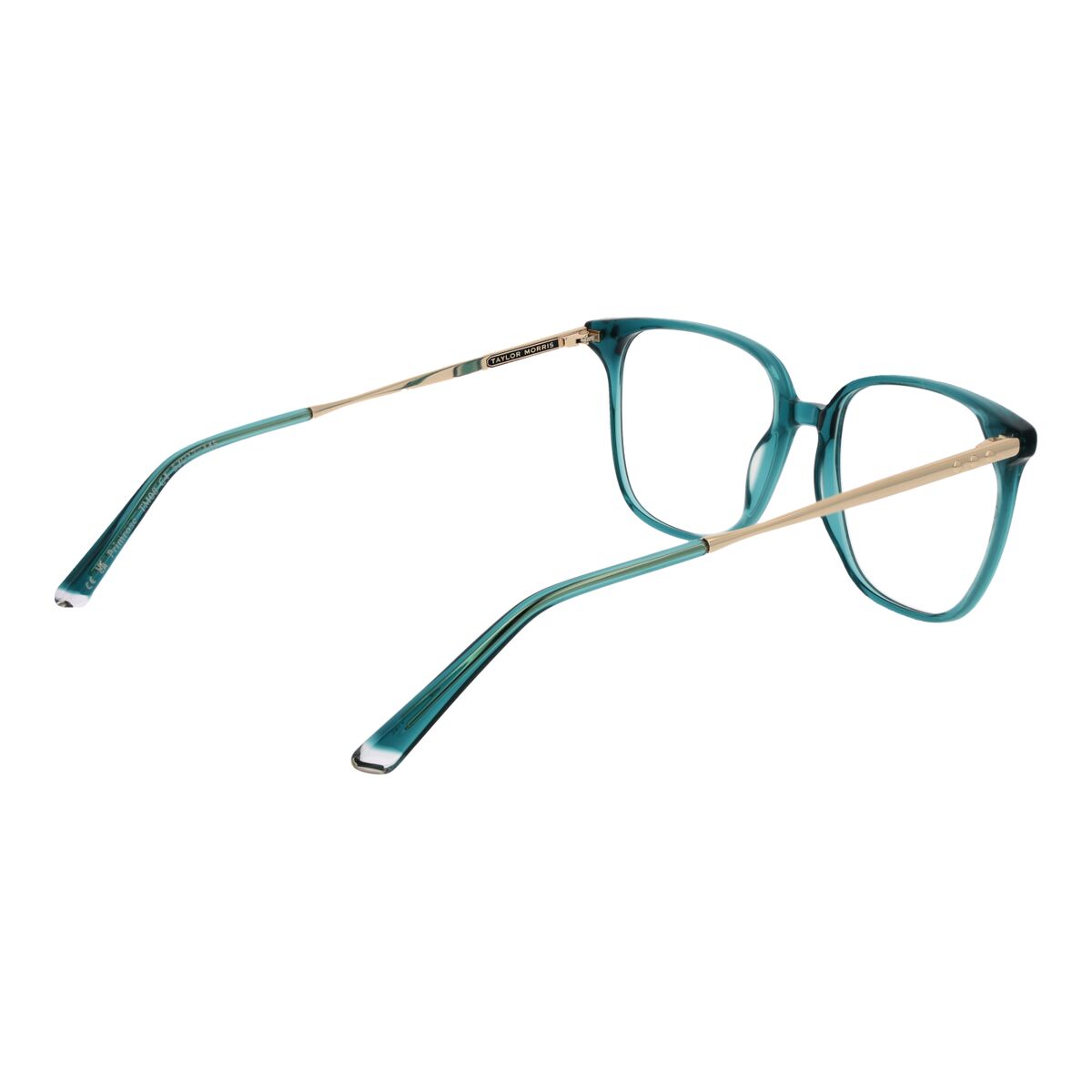 Unisex Σκελετός γυαλιών Taylor Morris TM08 53C4