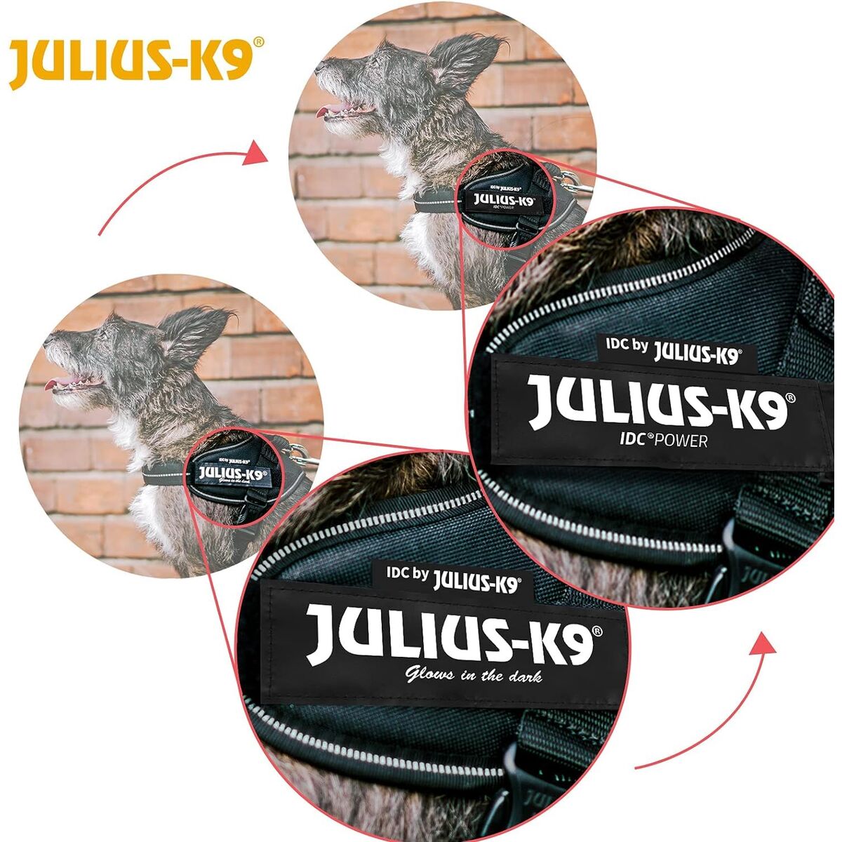Λουρί Σκύλου Julius K9 IDC Μαύρο