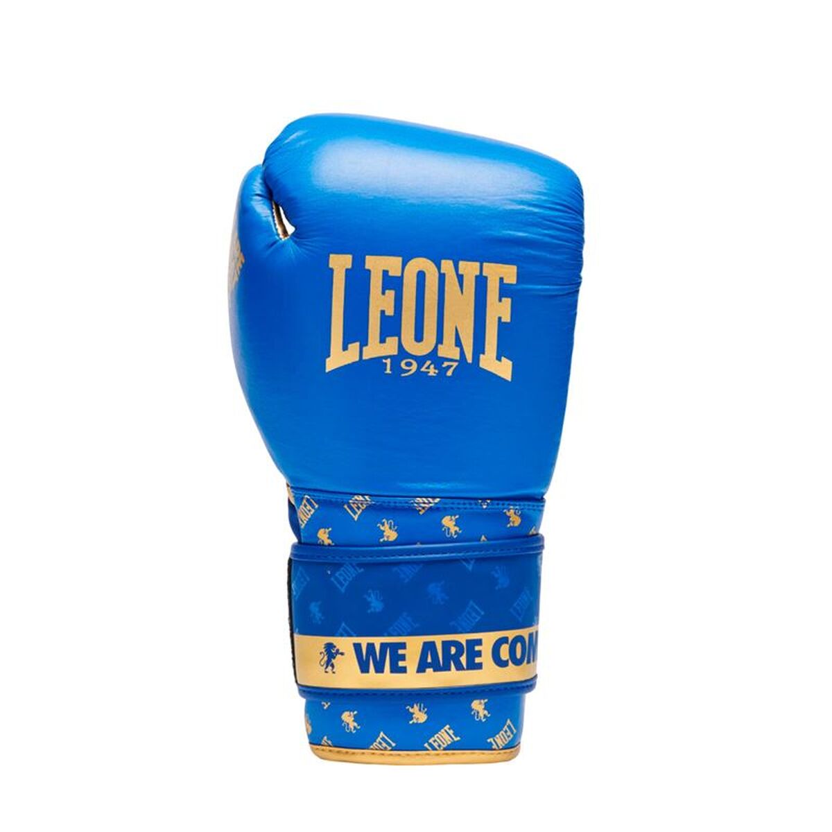 Γάντι πυγμαχίας Leone 1947 Dna