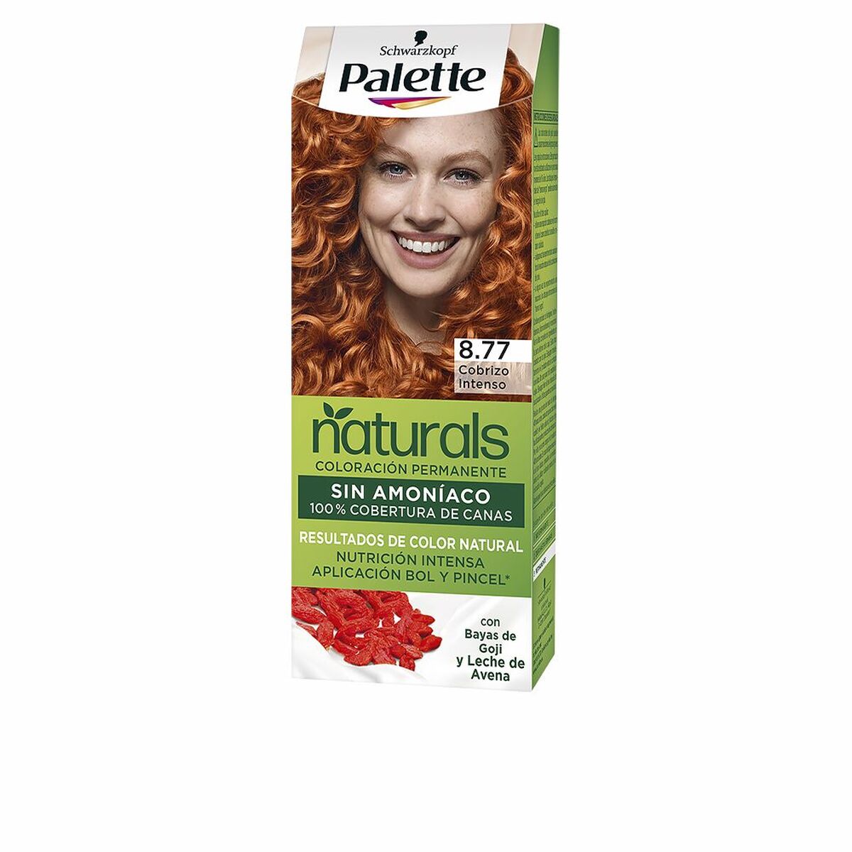 Μόνιμη Βαφή Palette Natural Schwarzkopf
