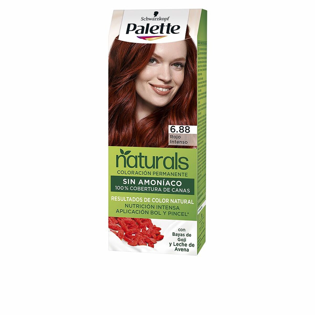Μόνιμη Βαφή Palette Natural Schwarzkopf