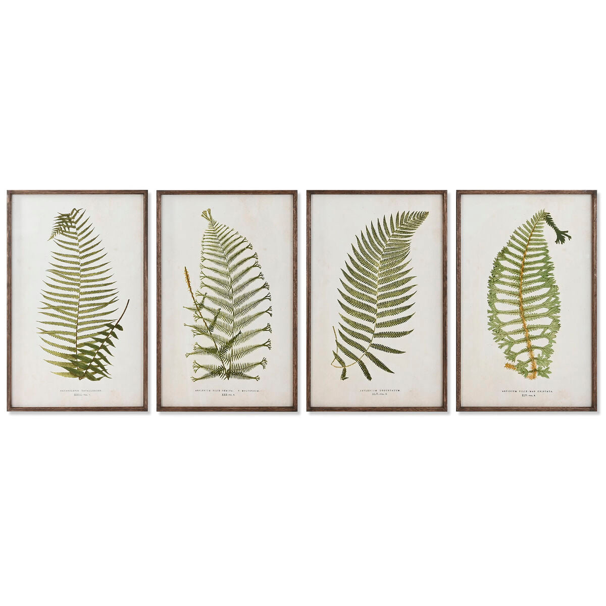 Πίνακας Home ESPRIT Κρυστάλλινο Έλατο 45 x 2,5 x 70 cm